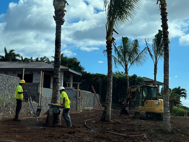 Maui Landscaping Field Stock Trees