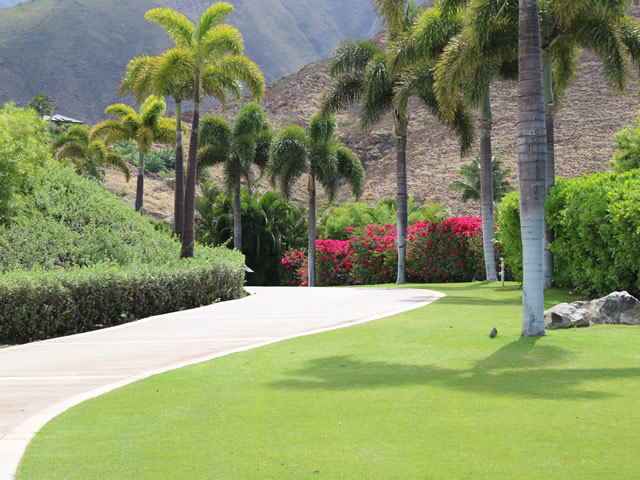 Maui Landscaping Maintenance
